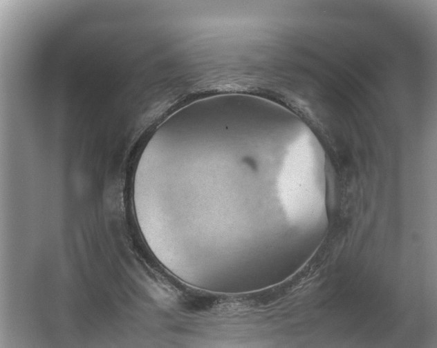 X0000064040299200602031604