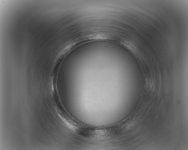 X0000064040302200602031604