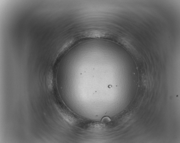 X0000064040304200602031604