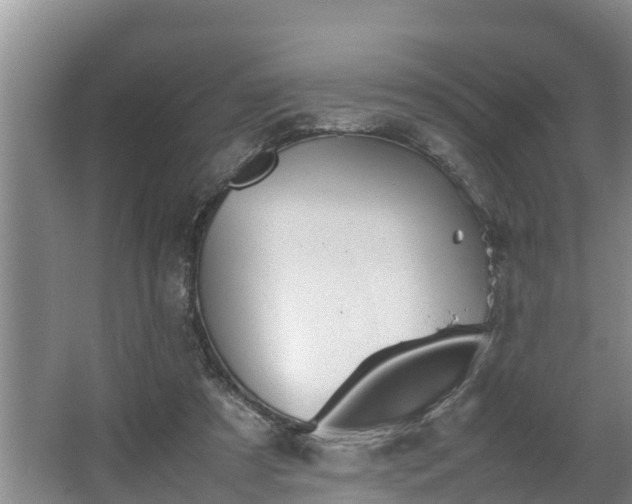 X0000064040305200602031604