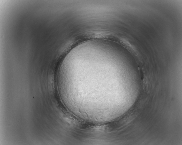 X0000064040306200602031604