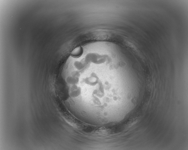 X0000064040307200602031604