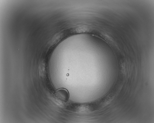 X0000064040308200602031604