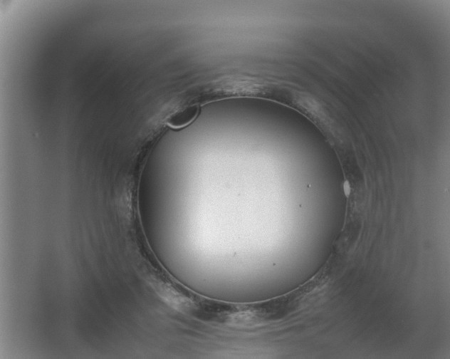 X0000064040309200602031604