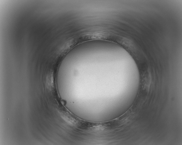 X0000064040310200602031604