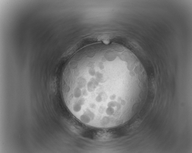 X0000064040311200602031604