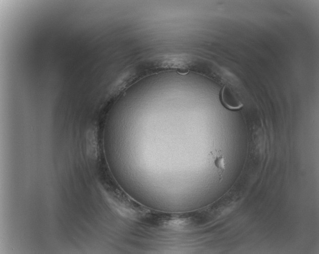 X0000064040312200602031604