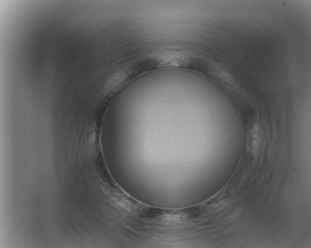 X0000064040314200602031604