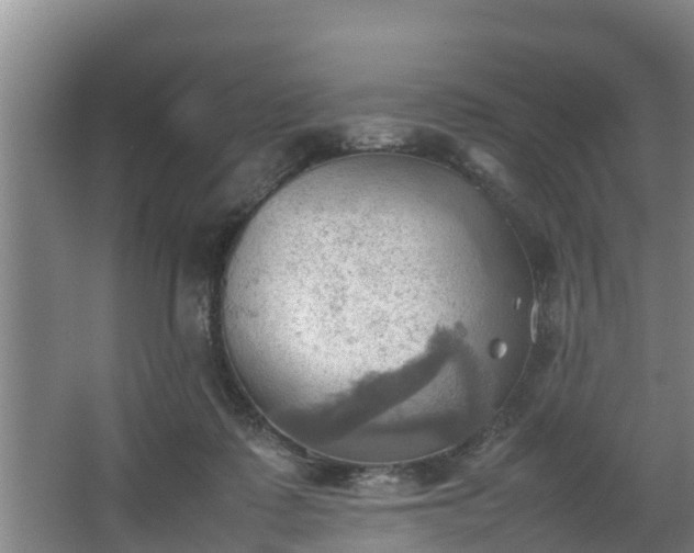 X0000064040315200602031604