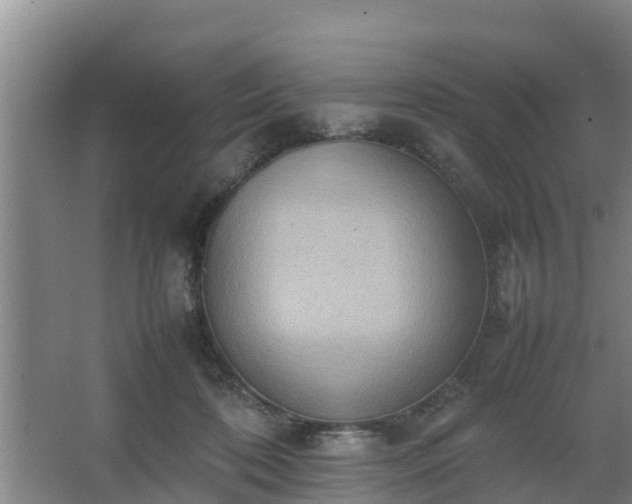 X0000064040316200602031604