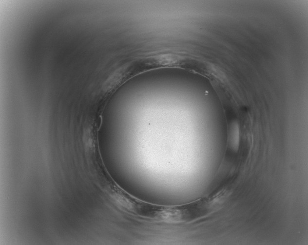 X0000064040317200602031604