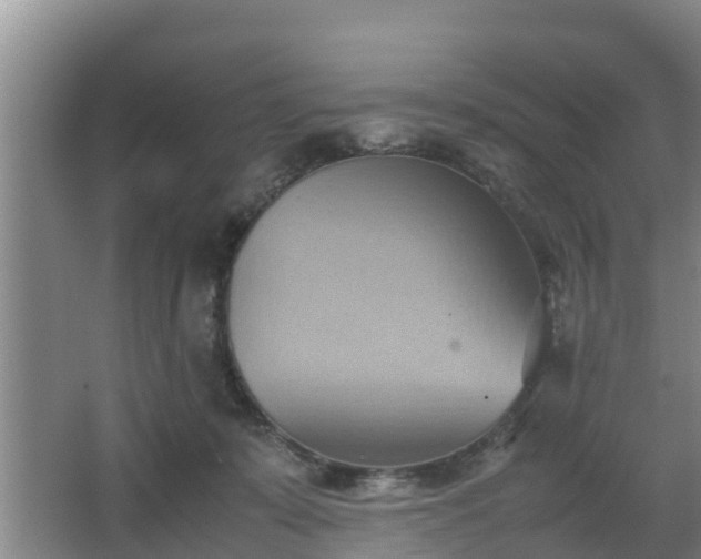 X0000064040319200602031604