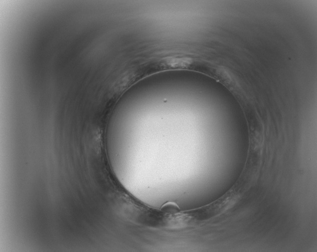 X0000064040321200602031604