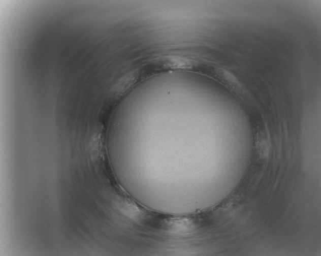 X0000064040322200602031604