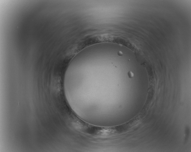 X0000064040323200602031604