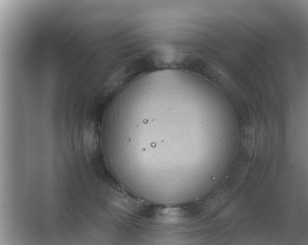 X0000064040324200602031604