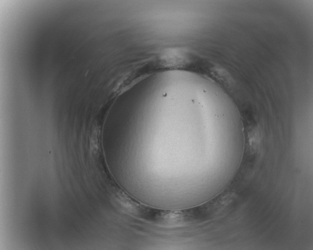 X0000064040325200602031604