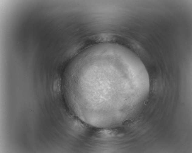 X0000064040326200602031604