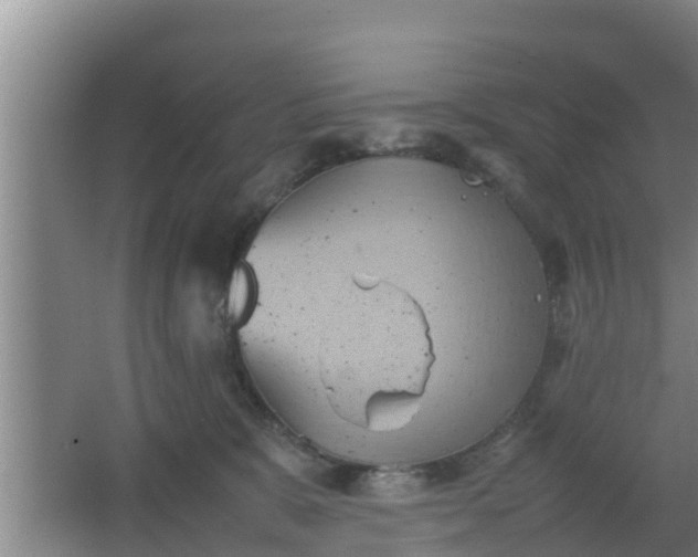 X0000064040327200602031604