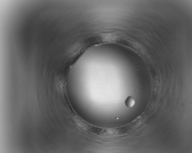 X0000064040329200602031604