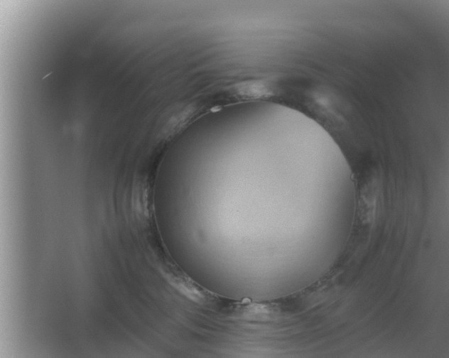 X0000064040330200602031604