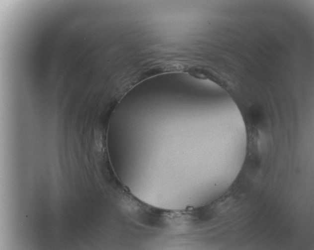 X0000064040331200602031604