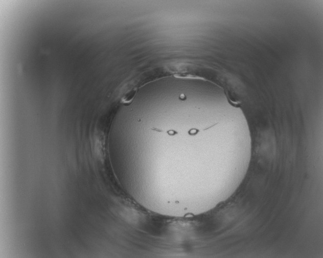 X0000064040332200602031604