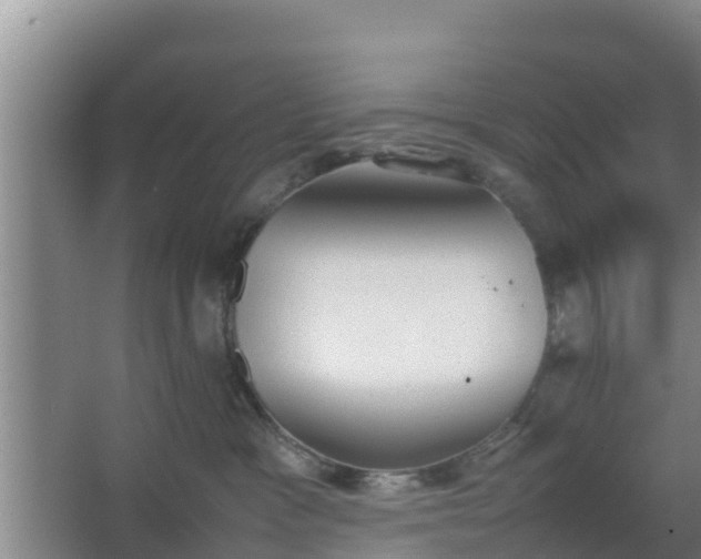 X0000064040333200602031604