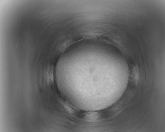 X0000064040334200602031604