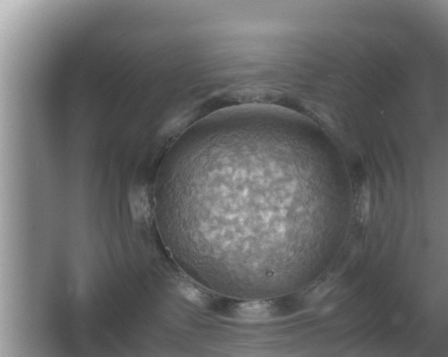 X0000064040335200602031604