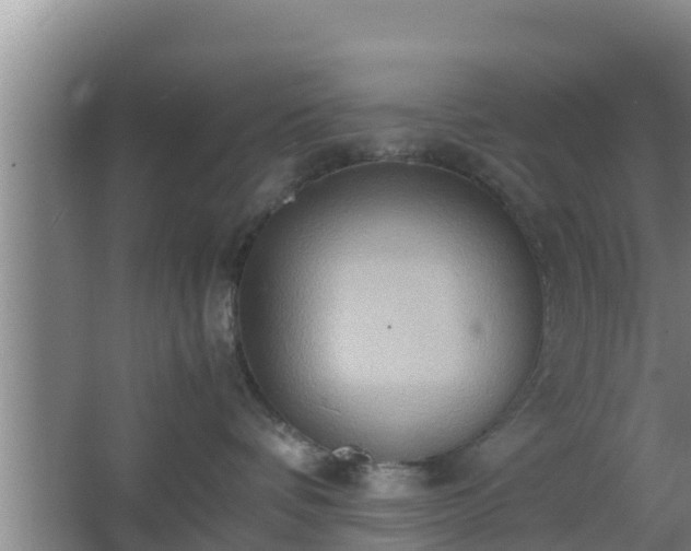 X0000064040336200602031604