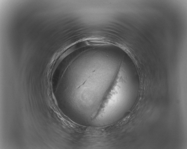 X0000064040337200602031603