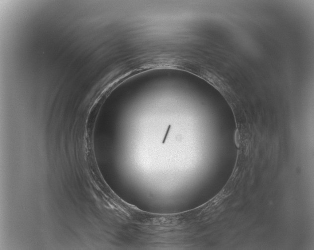 X0000064040338200602031603