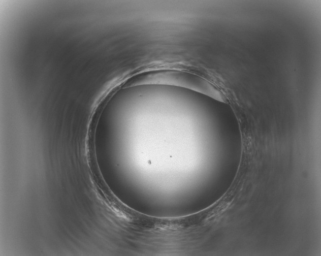 X0000064040340200602031603