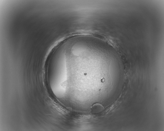 X0000064040342200602031603