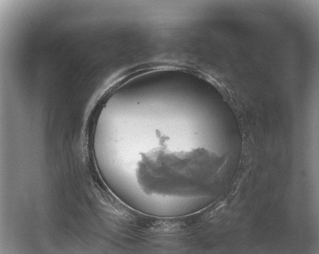 X0000064040343200602031603