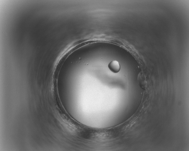 X0000064040344200602031603