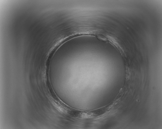 X0000064040346200602031603