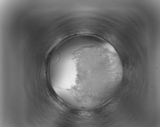 X0000064040347200602031603