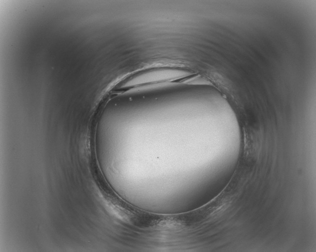 X0000064040348200602031603