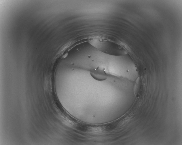 X0000064040349200602031603