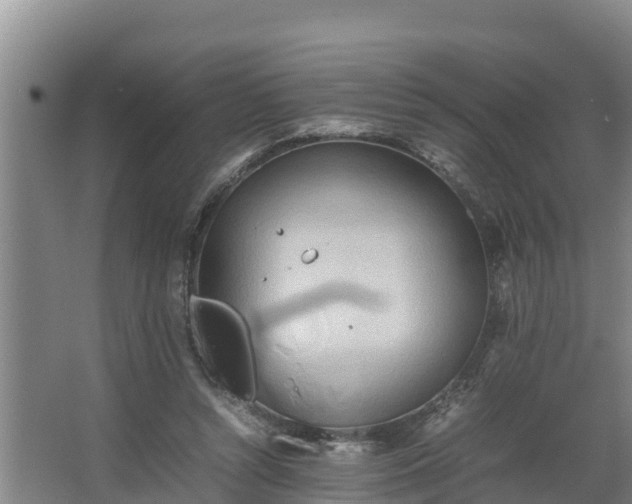 X0000064040352200602031603