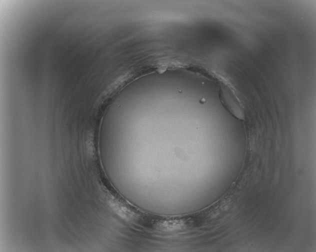 X0000064040353200602031603