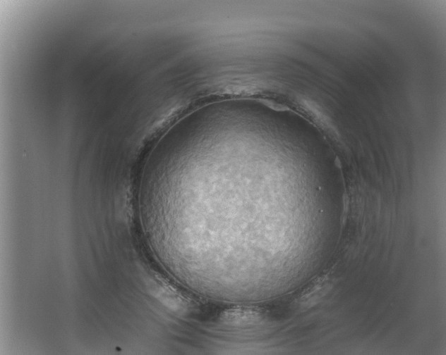 X0000064040354200602031603