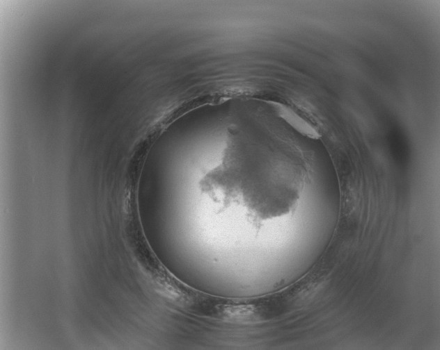 X0000064040355200602031603