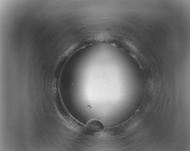 X0000064040356200602031603