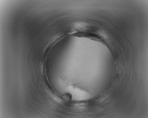 X0000064040357200602031603