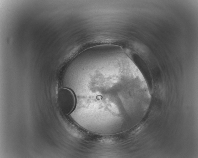 X0000064040358200602031603