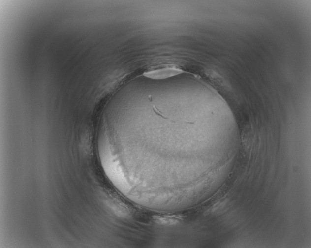 X0000064040359200602031603