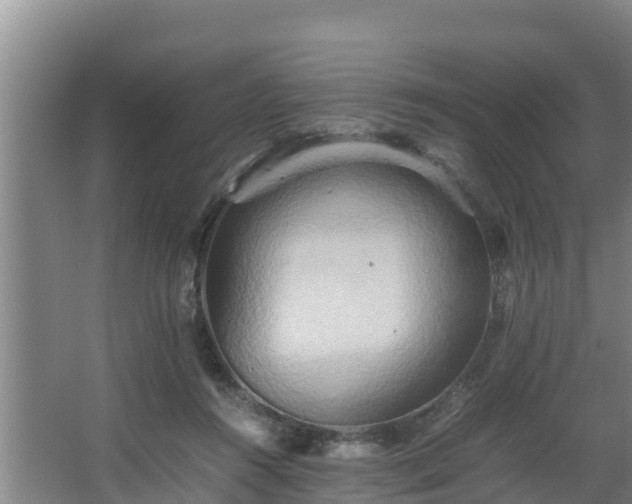 X0000064040360200602031603